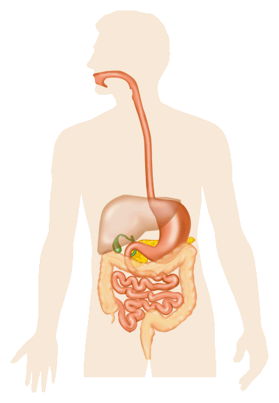 Gi tract