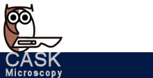 Logo CASK microscopy